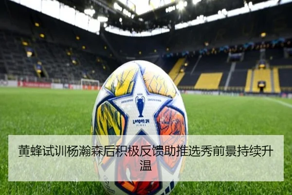 黄蜂试训杨瀚森后积极反馈助推选秀前景持续升温