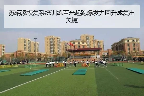 苏炳添恢复系统训练百米起跑爆发力回升成复出关键