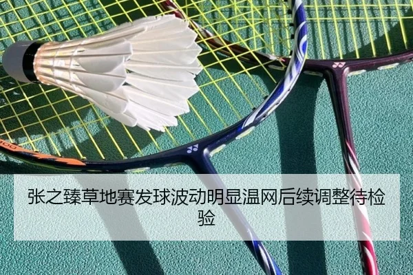 张之臻草地赛发球波动明显温网后续调整待检验